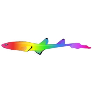 Super Rainbow Cat Shark